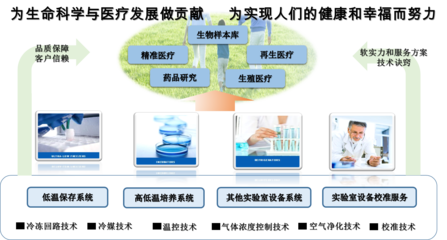 科技创新驱动未来 公司技术服务与技术开发概览